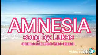 AMNESIA  Lukas lyric [upl. by Letreece]