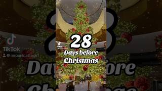 It’s 28 Days before Christmas 🎄✨🤩 Countdown to Christmas 2024 🎄 christmas christmascountdown [upl. by Enrak]