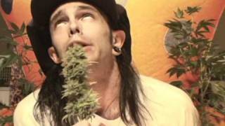 Muck Sticky  High Times Official Music Video [upl. by Estrella]