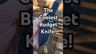 Coolest Budget Knife In My Collection budgetknife edgedmindset kizerknives edgedmindset [upl. by Haimirej]