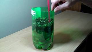 2 liter bottle self watering experiment DIY [upl. by Llenil]