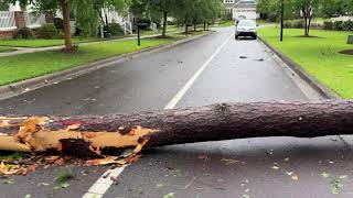 Tallahassee multiple EF2 Tornadoes Damage  May 10th 2024 [upl. by Benji]