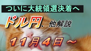 【TAKA FX】来週は大統領選協！FOMC！その他指標多数！！ ドル円他各通貨の環境認識解説。各種指数、GOLDなど 11月4日月～ [upl. by Amethist383]