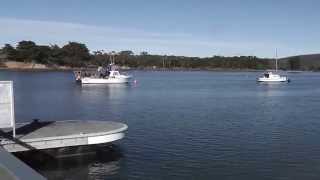 Cremorne Jetty  Pontoon [upl. by Maxine]