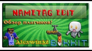 Обзор плагина NametagEdit Minecraft 179 [upl. by Cameron]