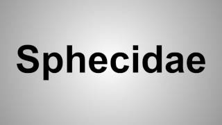 How To Pronounce Sphecidae [upl. by Eicart481]