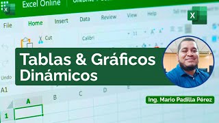 Tablas y Gráficos Dinámicos  Office Excel 365 [upl. by Nosrak966]