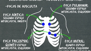 Semiologia médica Ausculta cardíaca [upl. by Nnoved472]