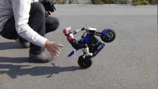 RC Bike Wheelie Device [upl. by Ecertal]