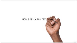 How does a COVID19 PCR test work [upl. by Laks]