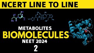 BIOMOLECULES CLASS 11  METABOLITES  NCERT LINE TO LINE READING  neet2024 biomolecule ncert [upl. by Maller]