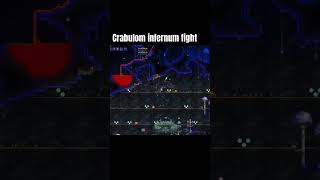 Terraria calamity infernum crabulon fight [upl. by Elissa]