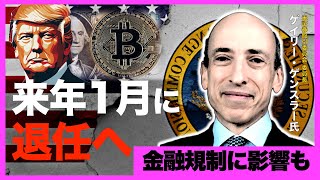 【11月第3週 仮想通貨ニュース】辞任発表でBTCが10万ドルに迫り、リップルも急騰【ゲンスラーSEC委員長退任】 [upl. by Merari]