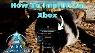 How To Imprint In Ark Survival Ascended On Xbox Console Controller [upl. by Anneirda632]