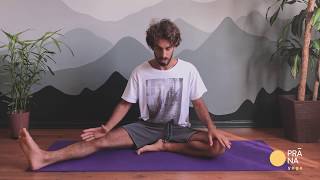 Prática para Flexibilizar a Coluna  Carlo Guaragna  Prána Yoga [upl. by Maxwell]