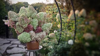 A Dried Hydrangea Fall Table Decor Centerpiece  The Southerners Northern Garden [upl. by Adnahsal]