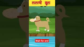 Lalchi Kutta  लालाची कुत्त्ता shortvideoyoutubeshorts shortsfeed [upl. by Hayn885]