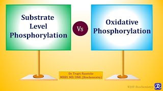 5 Substrate Level Phosphorylation  Biological Oxidation  Biochemistry  NJOY Biochemistry [upl. by Herzel]