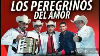 Los Peregrinos Del Amor  Mix Regaetoon [upl. by Akilaz]