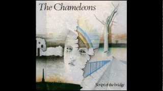 THE CHAMELEONS  Thursdays Child [upl. by Anavoig]