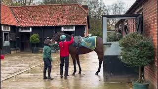 Gallops 23112024 Julia Feilden Racing [upl. by Wooldridge]