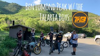 Ben Lomond Peak Trail w The Talaria Boys  Surron LBX [upl. by Ruddie]