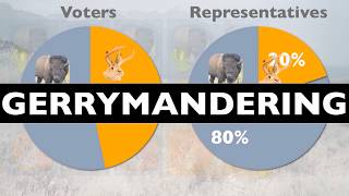 What If the Electoral College is Tied [upl. by Llerol949]