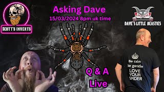 Live with Daves little beasties [upl. by Risley242]