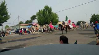 2017 Hops Festival Parade Dancing Mexican Horses THANKS FOR THE VIEWS [upl. by Alvera805]