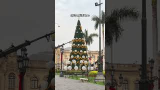 Árbol de Navidad  Plaza Mayor de Lima  Día 01122024 [upl. by Norina]