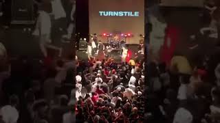 TURNSTILE LIVE IN CONCERT turnstile shorts youtubeshorts [upl. by Hsoj]