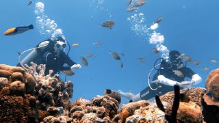 🤿 Asi es el BUCEO en SAN ANDRES Colombia [upl. by Aydin]