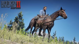 You Can even PEE while on Horse in Red Dead Redemption 2 PC [upl. by Haeel]