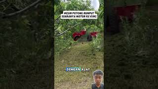 robot kontroler motong rumput reels reaction viralshorts [upl. by Olnay]