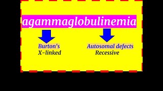 Burtons agammaglobulinemia [upl. by Elayor]