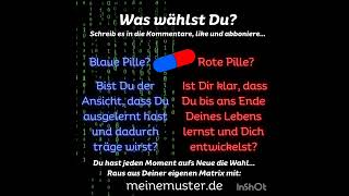 Was wählst Du 🔵🔴 Schreib es in die Kommentare like und abonniere Lernen bis ans Lebensende [upl. by Yalc81]