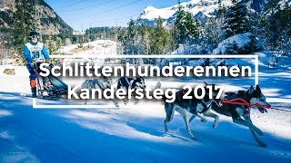 🛷 Schlittenhunderennen Kandersteg 2017 🐺 [upl. by Konyn]