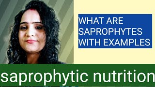 saprophytes with examples class 10 saprophytic nutritionsaprophytic nutrition in mushroom [upl. by Nicholas]