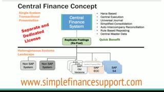 Central Finance System Concepts [upl. by Ludewig]