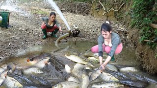 Fishing Video Survival Skills Uniques Fishing Suck Water Out Of The Lake Harvesting Many Big Fish [upl. by Anna-Diana]