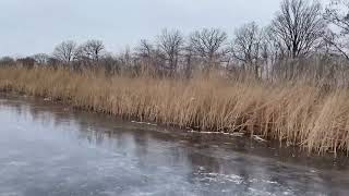 Schaatsen op de Ankeveense Plassen 11012024 [upl. by Yeldarb203]