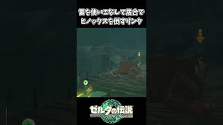 【ティアキン】雷を使いこなしてヒノックスに居合斬りをするリンク【ゼルダの伝説 ティアーズ オブ ザ キングダム】 [upl. by Gnut]