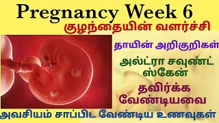 Pregnancy week 66 weeks pregnant symptoms in tamilfirst trimester pregnancy tamil6th week tamil [upl. by Ripp]