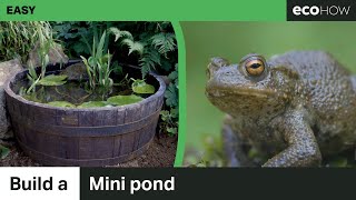 How to make a mini pond [upl. by Attelrac653]