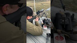 22 ARC 18” Proof barrel shooting 88 ELDM’s at 515 yards shorts ar15 tactical hunting gun [upl. by Seaver685]