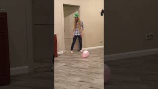 A big fat dog brings a pink balloon to a little dog [upl. by Ofilia]