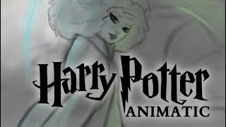 Who is She Hermione  Harry Potter Animatic [upl. by Sorilda]