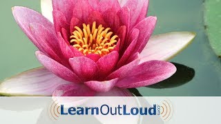 The Dhammapada  Full Audiobook [upl. by Ule]