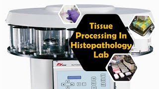 Tissue Processing  Histopathology  ELearn with Zakir [upl. by Atul]