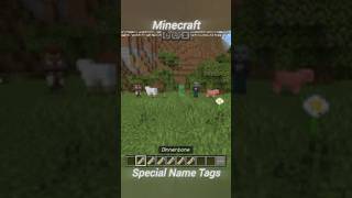 Minecraft Special Name Tags minecraft gaming thingsyoudontknowaboutminecraft [upl. by Macguiness293]